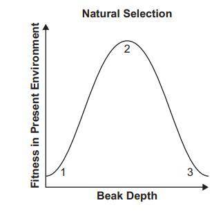 The graph represents the outcome of natural selection in a population of Darwin's finches. Which st