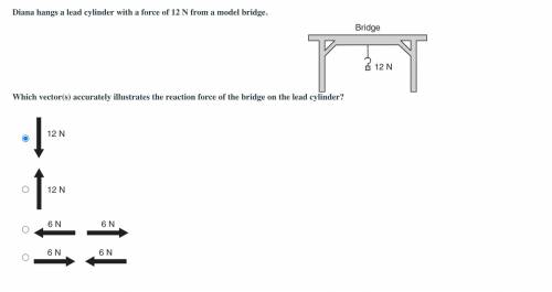 Diana hangs a lead cylinder with a force of 12 N from a model bridge.

Which vector(s) accurately