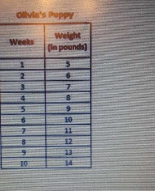 Is the relationship for Olivia's puppy's weight in terms of time linear or nonlinear? Explain your