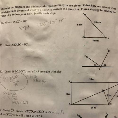 Help me please!! Answer question #21 ( the middle question)