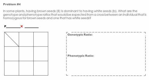 Please help answer all 3