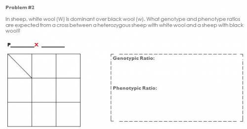 Please help answer all 3