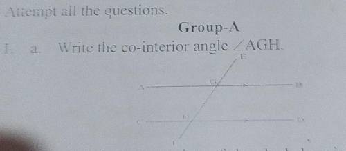Please solve this i need this answer
