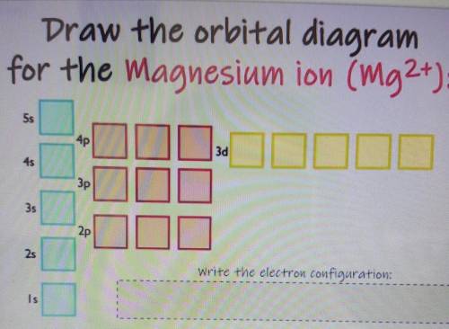 What is the electron configuration for the Magnesium ion?