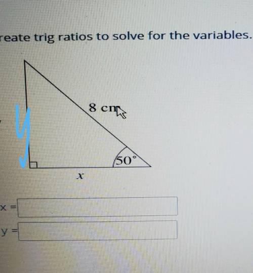 13 Create trig ratios to solve for the variables. Round your answer to one decimal place: 8 cm ms y