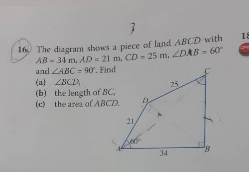 HELP ME PLEASE I'VE BEEN STARING AT THIS QUESTION FOR SO LONG