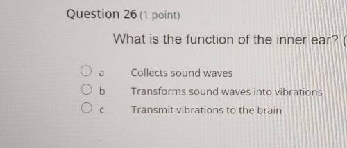 What is the function of the inner ear? a Collects sound waves Transforms sound waves into vibration