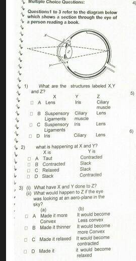 Please answer these MCQ's