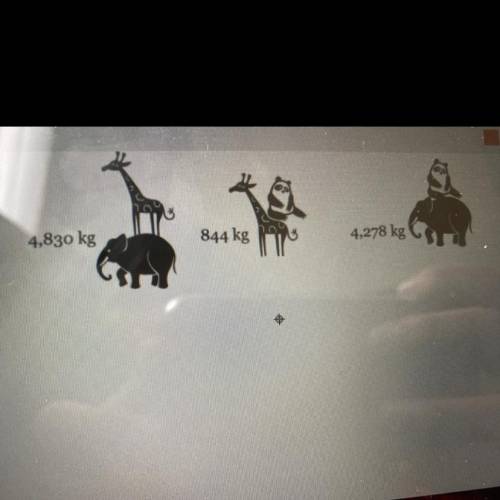 Solve this zoo problem.
Find the weight of each animal.
Giraffe:
Elefant:
Panda: