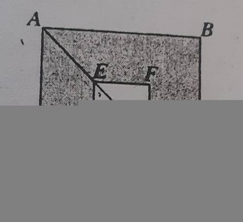 In the figure above, diagonal EG of square EFGH is one-half of diagonal. AD

of square ABCD. What