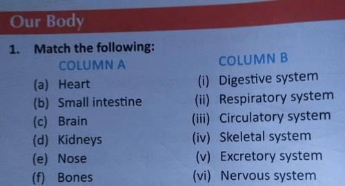 Our Body

1.Match the following:COLUMNA(a) Heart(b) Small intestine(c) Brain(d) Kidneys(e) Nose(f)