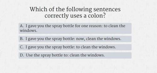 Please help its a question about colons please help