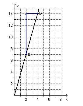 What do the differences between the points (as shown on the graph) represent?