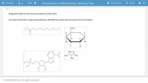 Drag each label to the correct location on the chart.For each of the four major biomolecules, ident
