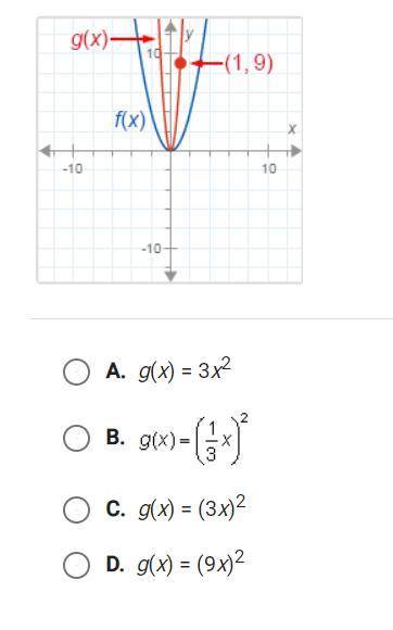 PLEASE HELP 
f(x) = x2. What is g(x)?