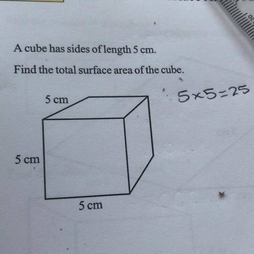 A cube has sides of length 5 cm.

Find the total surface area of the cube.
Please explain as well,