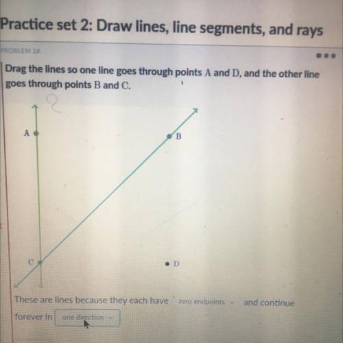PROBLEM 2A

Drag the lines so one line goes through points A and D, and the other line
goes throug