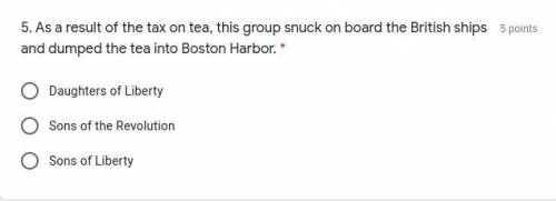 As a result of the tax on tea, this group snuck on board the British ships and dumped the tea into