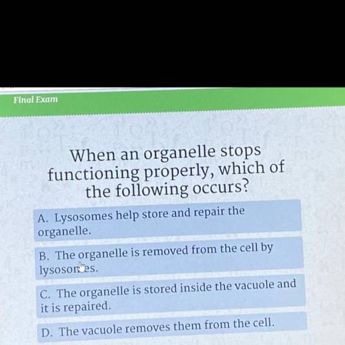 When an organelle stops
functioning properly, which of
the following occurs?