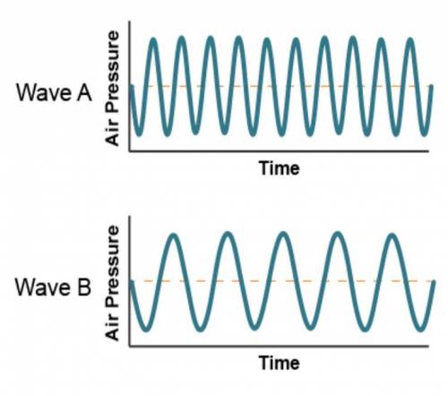 What is the motion of the particles in this kind of wave?

A hand holds the left end of a set of w