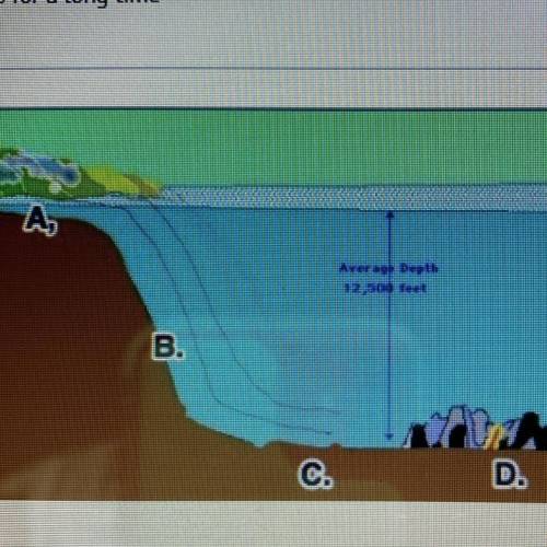In the picture of the ocean floor, letter B marks what landform?

A)
rift zone
B)
ocean basin
o
co