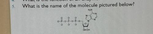 What is the molecule of this picture
