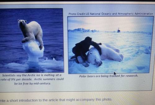 Photo credit:Us National Oceanic and Atmospheric Administration Polar bears are being tracked for r