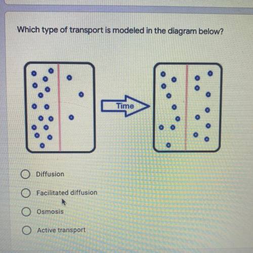 What type of transport is modeled in the diagram below