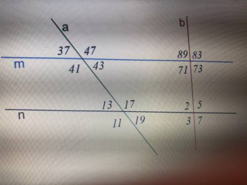 if lines m and n are parallel, list all congruent angles and include a reason why these angles woul