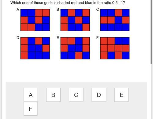 Which one of these grids is shaded red to blue in the ration 0.5:1?