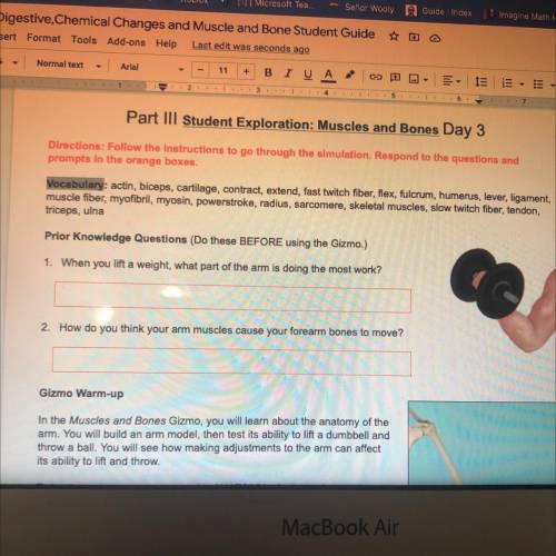 Part III Student Exploration: Muscles and Bones Day 3

Directions: Follow the instructions to go t