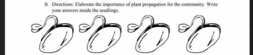 Elaborate the importance of plant propagation for the community? WRITE your answer inside the seedl