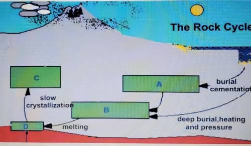 The diagram below shows a portion of the rock cycle. At what location in the diagram is marble most