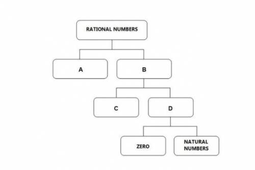 the diagram represents the relationship of number sets . The four choices given will complete the d