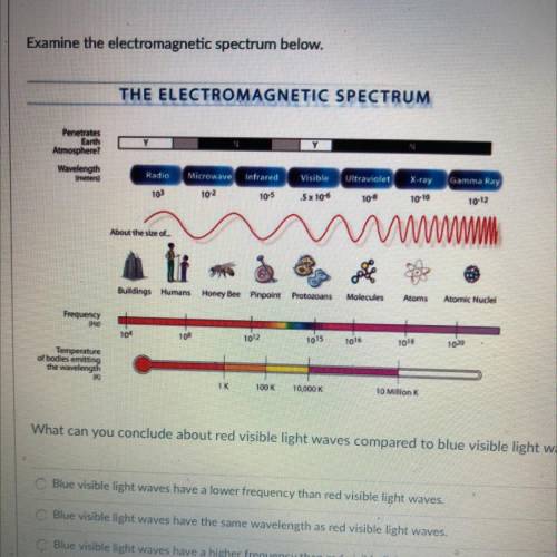 Examine the electromagnetic spectrum below.

THE ELECTROMAGNETIC SPECTRUM
N
Penetrates
Earth
Atmos