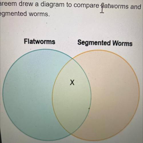Kareem drew a diagram to compare flatworms and segmented worms

which label belongs in the area ma