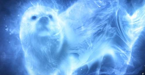 My patronus is an otter what’s yours also what house are you in and what’s your blood status? (I am