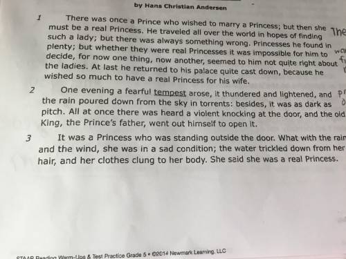 In “The Princess,”what is the meaning of tempest as it is used in paragraph 2?