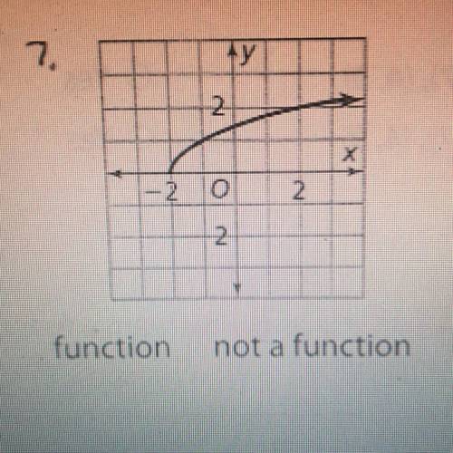 Function or not a function?