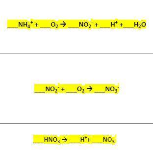 PLEASE HELP ME
BALANCING THE NITROGEN CYCLE CHEMICAL EQUATIONS