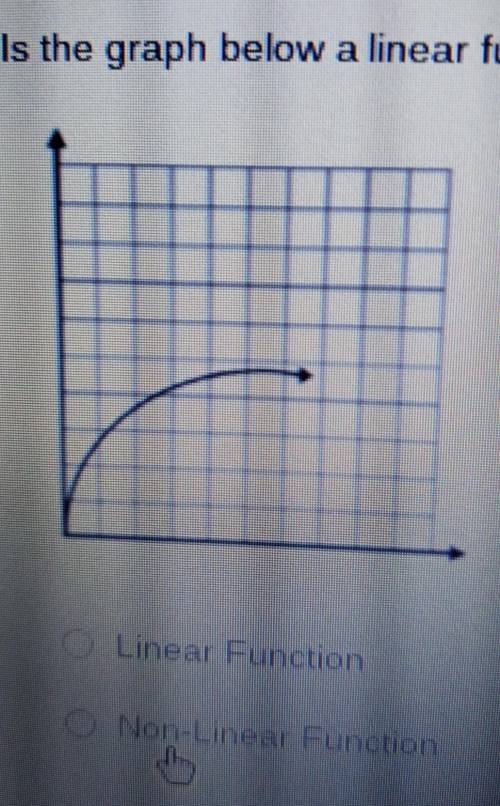 Is the graph below linear function or non- linear plxxx helppp