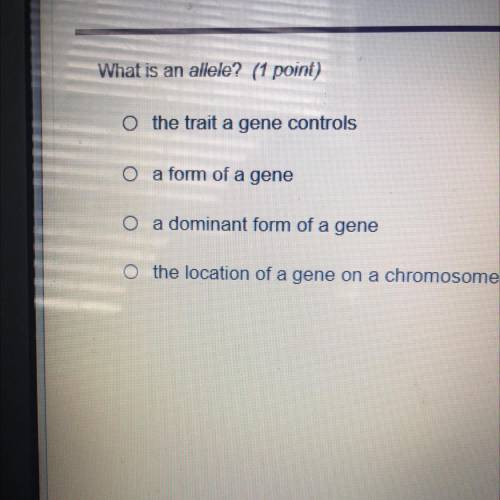 What is an allele A B C or d