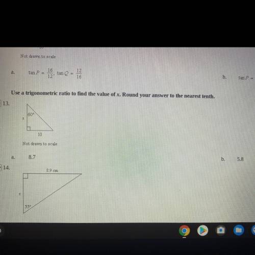 Can someone please help me with 13? there’s only two options you can see them in the picture