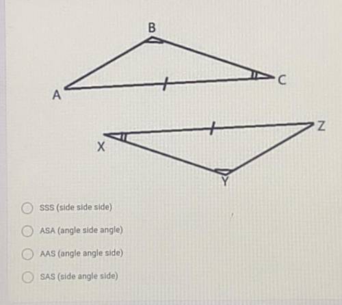 Which triangle congruency theorem can b used to prove the triangles are congruent??