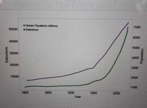 Study the graph above. What does this graph suggest about the relationship between human population