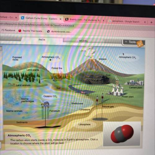 Using the Gizmo, find a carbon atom path from the atmosphere to the cement plant. (Hint:

One of t