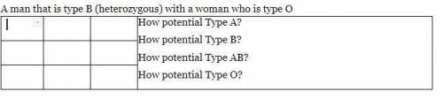 A man that is type B (heterozygous) reproduces with a woman who is type O