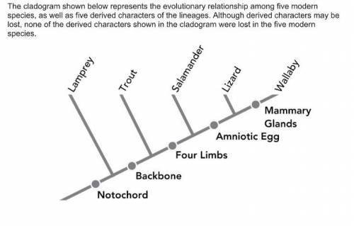 Which statement describes the evolution of the trait of an amniotic egg?

1. The trait evolved in