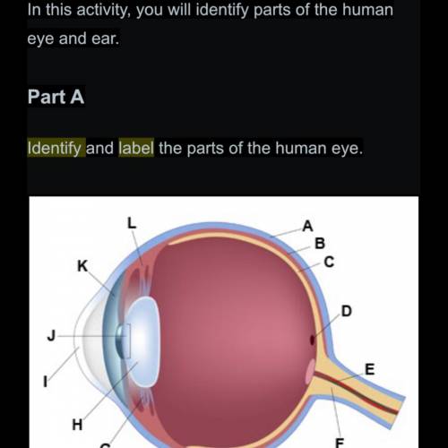 Identify and label the parts of the human eye? Subject: Anatomy