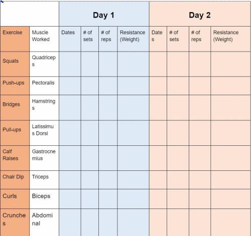 What would be a healthy way to plan out your day with the provided chart
